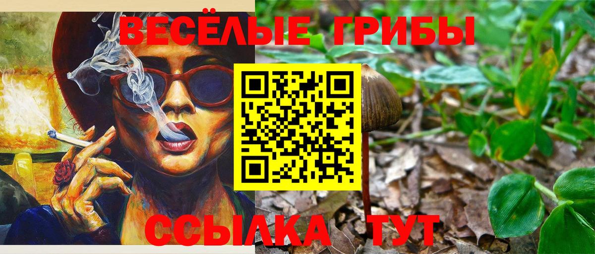 Псилоцибиновые грибы прущие грибы  Псилоцибиновые грибы Magic Shrooms  Вход с VPN  Аргун 